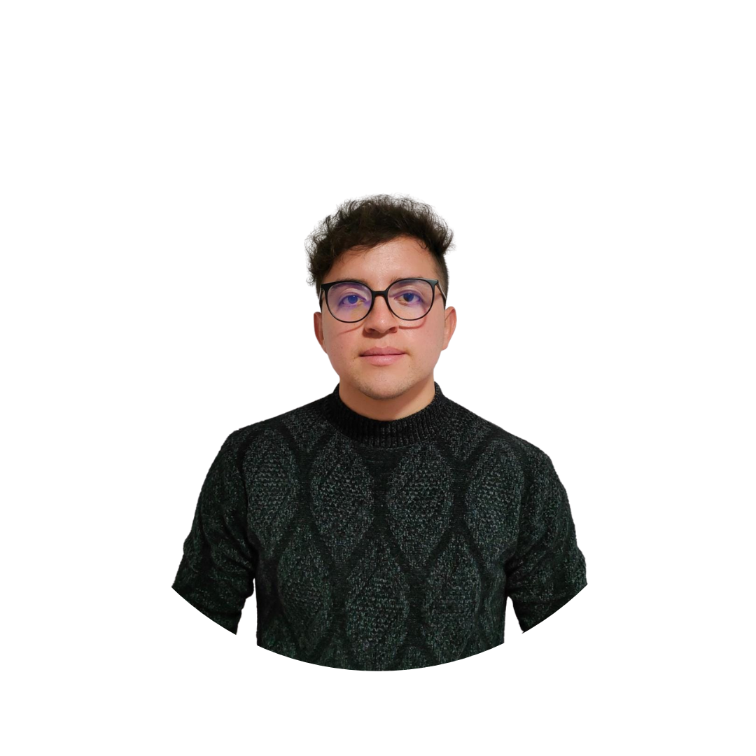 Ing. Alexander Guillin